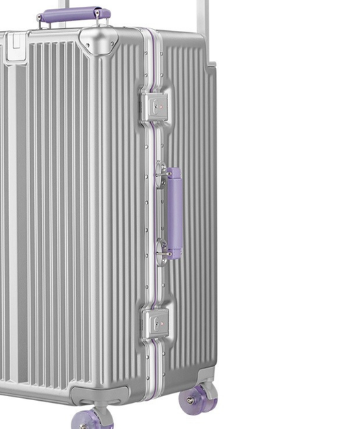 The Metro Silver Carry-On